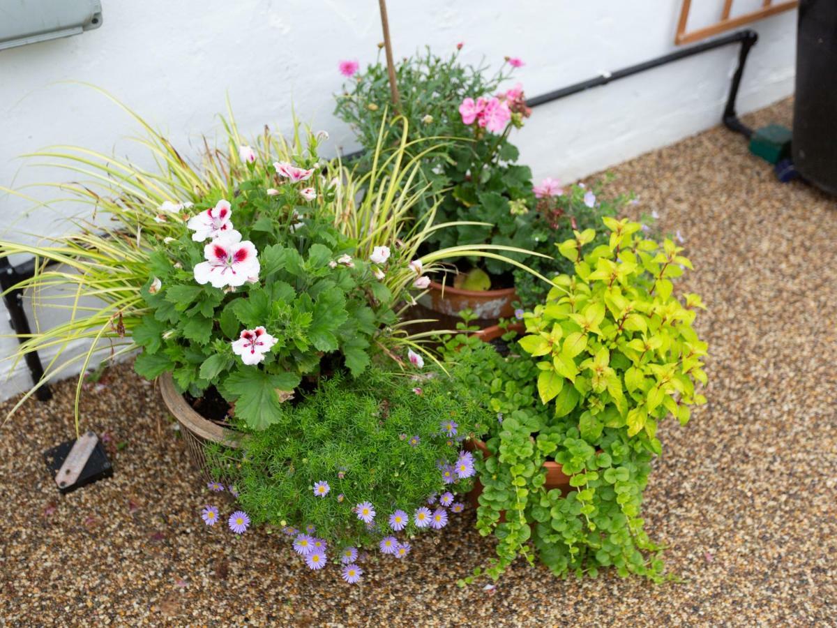 Little England Cottage Milborne Saint Andrew 외부 사진